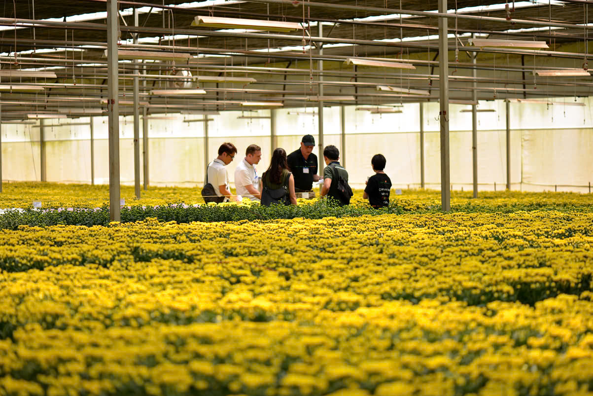 Đội ngũ Dalat Hasfarm